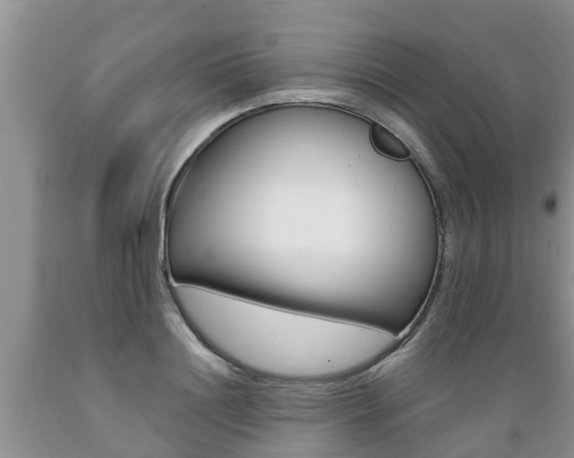 X0000089730844200706210914
