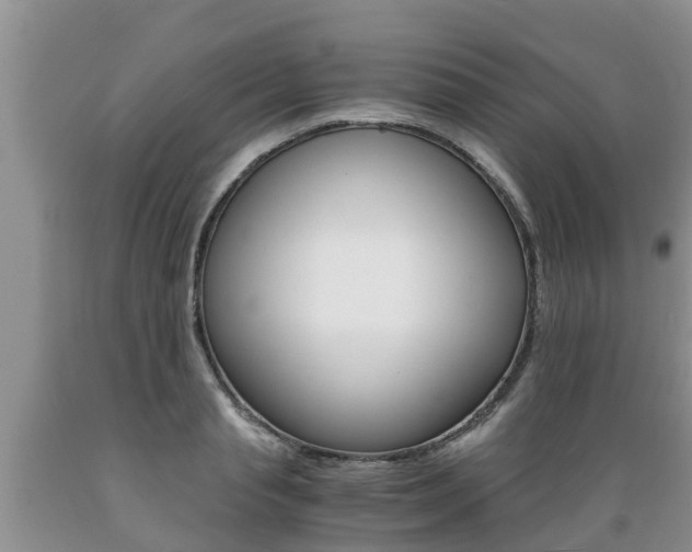 X0000089730845200706210914