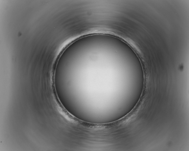 X0000089730846200706210914