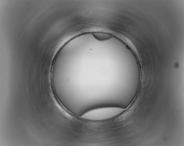 X0000089730847200706210914