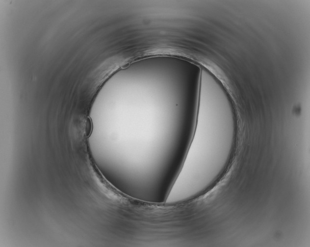 X0000089730849200706210914