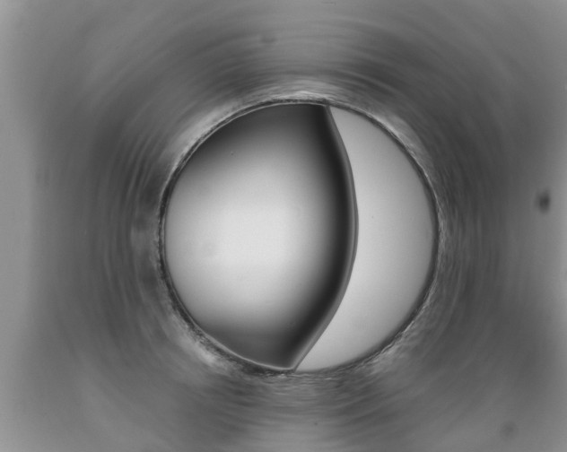 X0000089730850200706210914