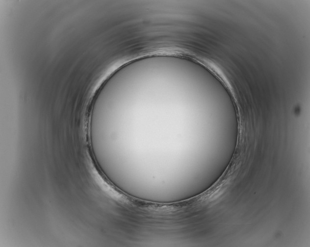 X0000089730851200706210914