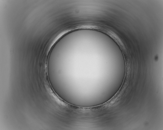 X0000089730852200706210914