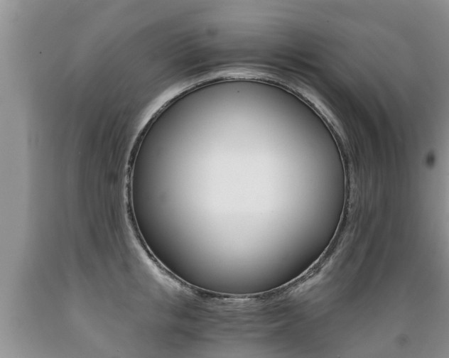 X0000089730853200706210914