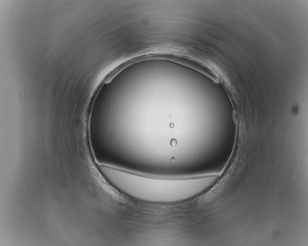 X0000089730854200706210915