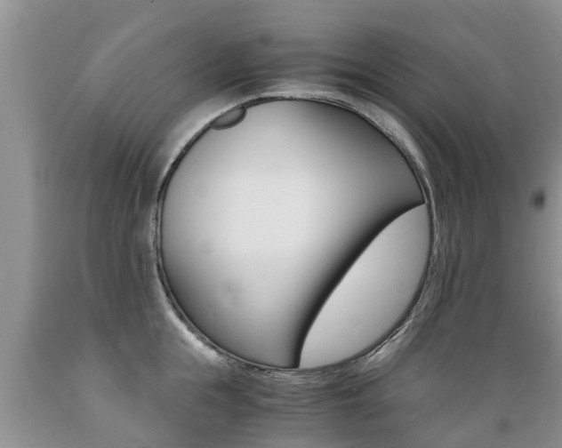 X0000089730855200706210915