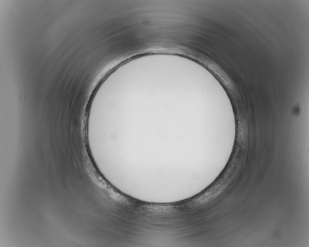 X0000089730856200706210915