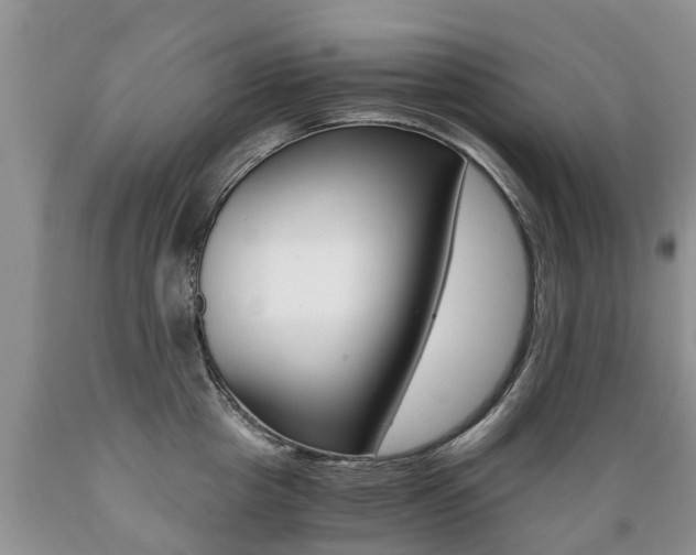 X0000089730857200706210915