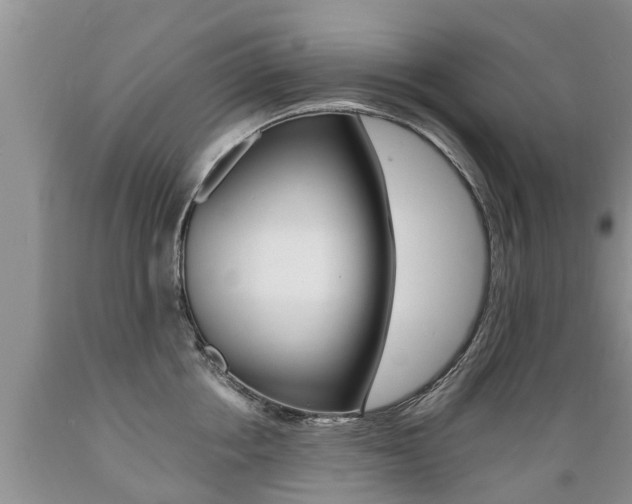 X0000089730858200706210915