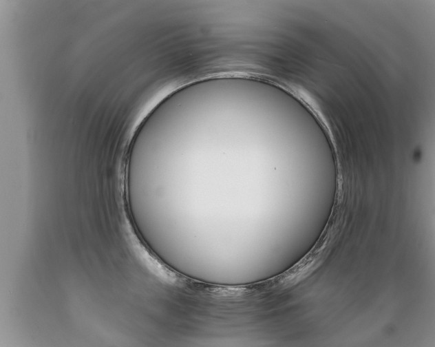 X0000089730859200706210915