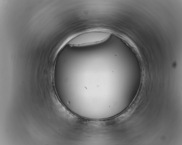 X0000089730860200706210915