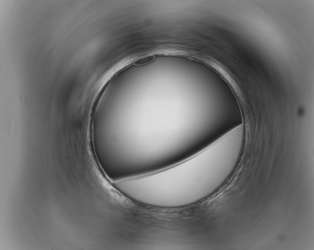 X0000089730861200706210915