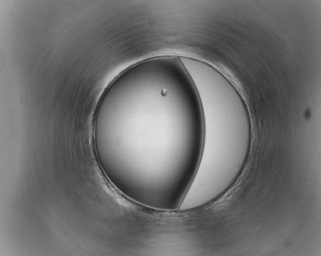 X0000089730862200706210915