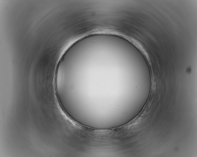 X0000089730863200706210915