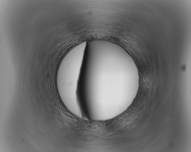 X0000089730865200706210914
