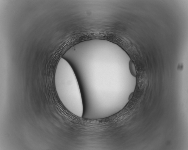 X0000089730866200706210914
