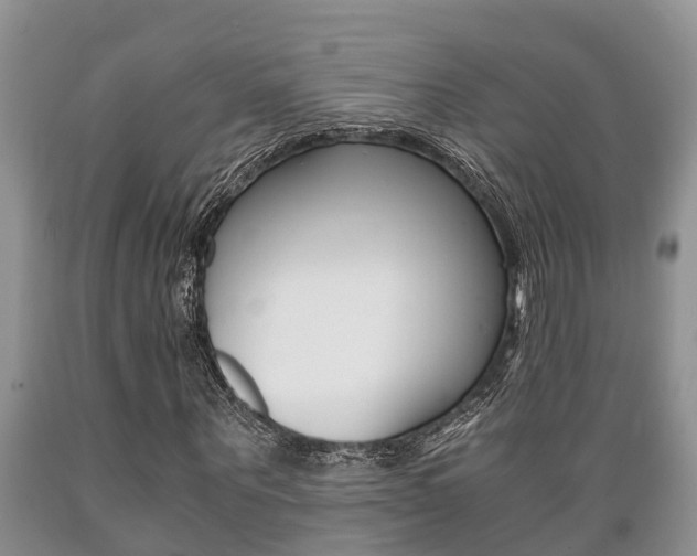 X0000089730867200706210914
