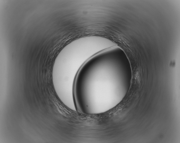 X0000089730868200706210914