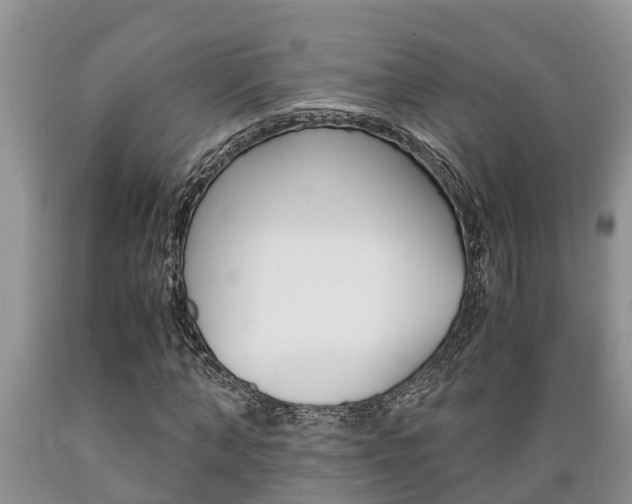X0000089730870200706210914