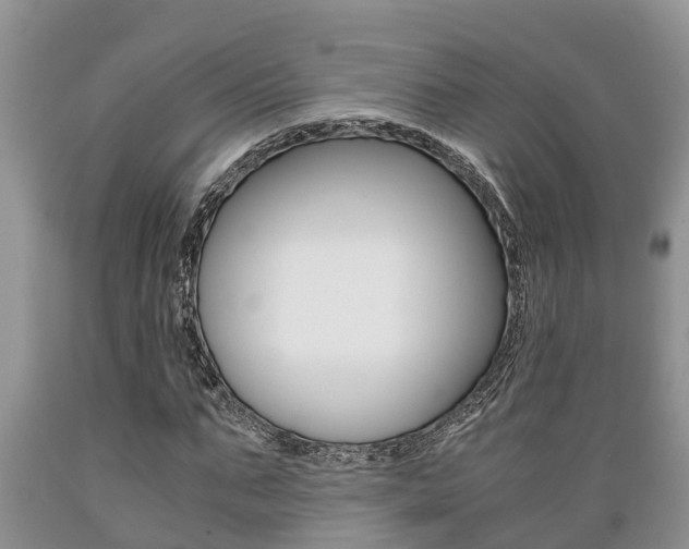 X0000089730871200706210914