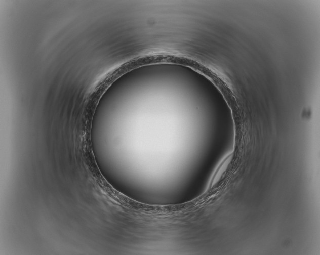 X0000089730872200706210914