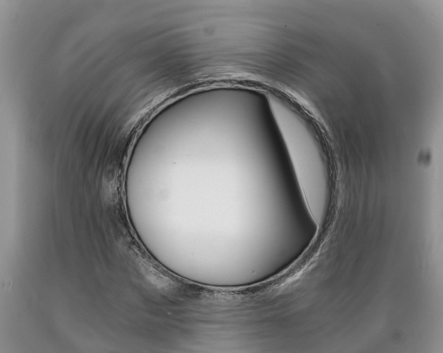 X0000089730873200706210914
