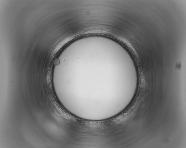 X0000089730874200706210914