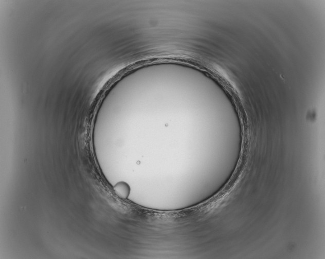X0000089730875200706210914