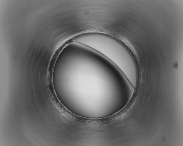 X0000089730876200706210914