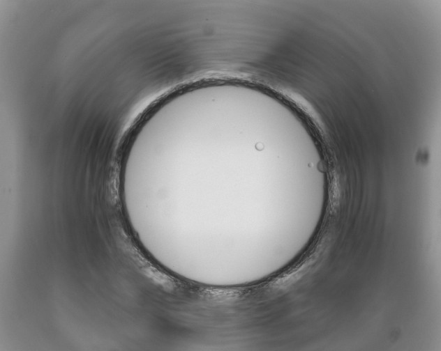 X0000089730878200706210914