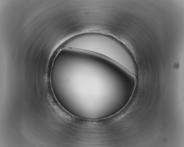 X0000089730880200706210914
