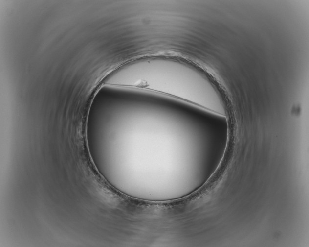 X0000089730881200706210914
