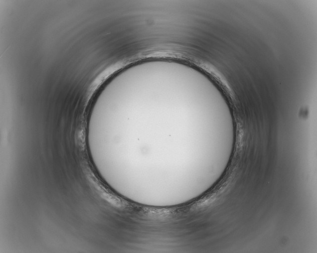X0000089730882200706210914
