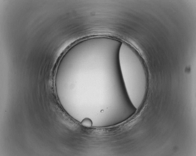 X0000089730883200706210914