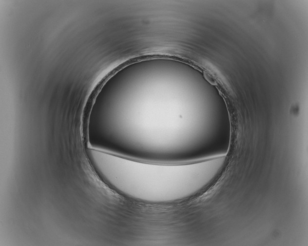 X0000089730884200706210914