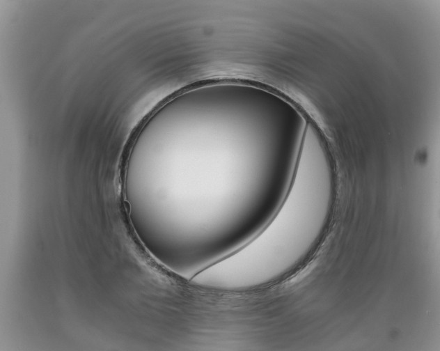 X0000089730885200706210914