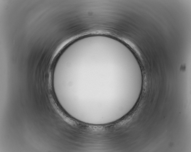 X0000089730886200706210914