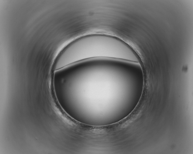X0000089730888200706210914