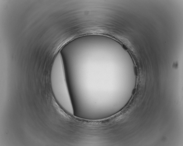 X0000089730889200706210914