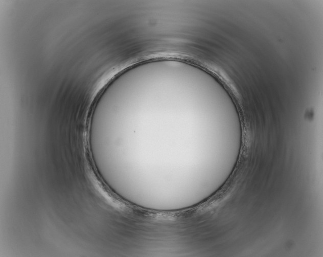 X0000089730890200706210914