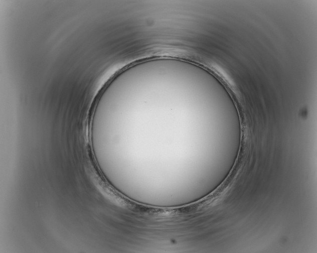 X0000089730891200706210914