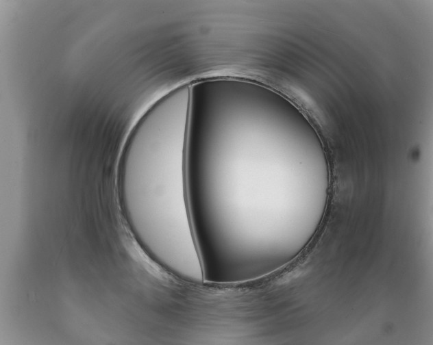 X0000089730892200706210914