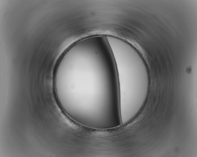 X0000089730894200706210914