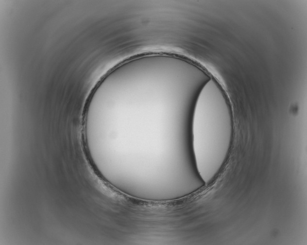 X0000089730895200706210914