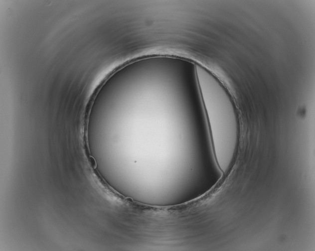 X0000089730896200706210914