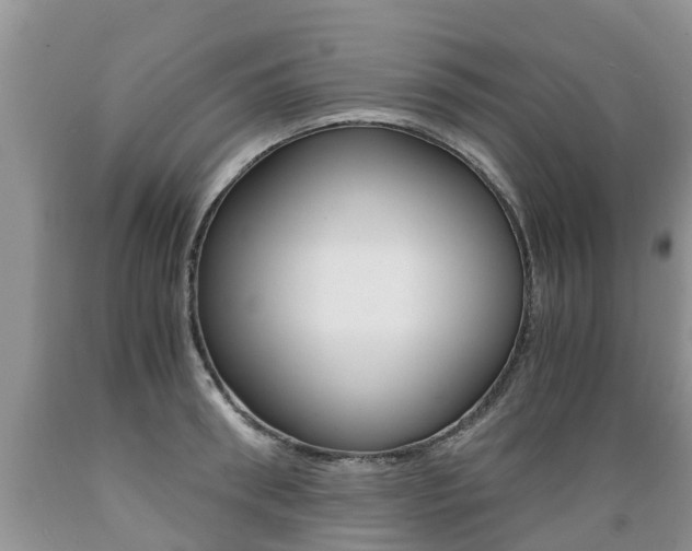 X0000089730898200706210914