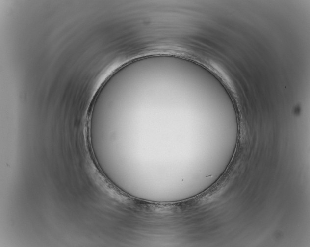 X0000089730899200706210914