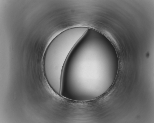 X0000089730900200706210914