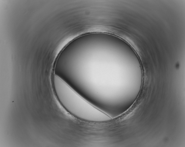 X0000089730901200706210913